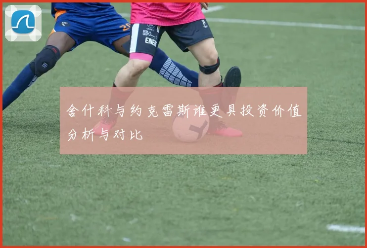 舍什科与约克雷斯谁更具投资价值分析与对比