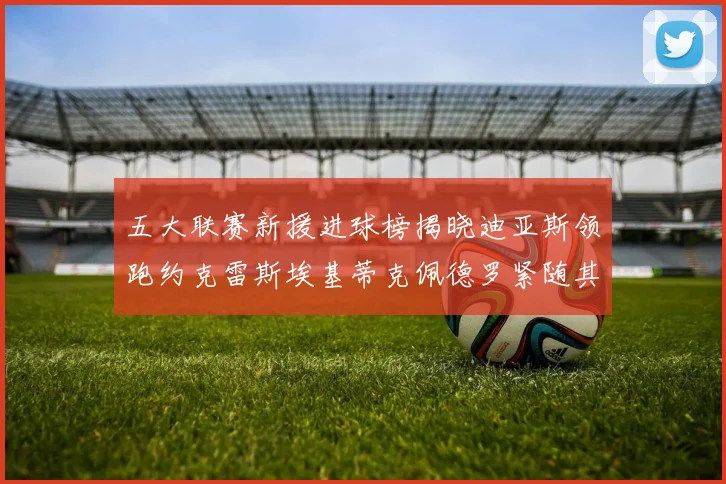 五大联赛新援进球榜揭晓迪亚斯领跑约克雷斯埃基蒂克佩德罗紧随其后