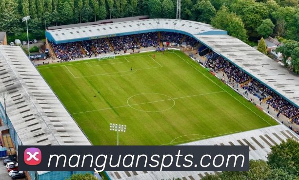 满贯体育APP 封面图